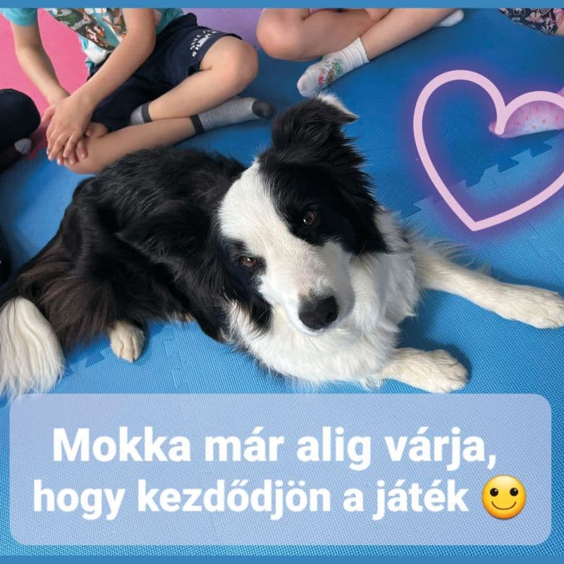 Iskola-előkészítés 2